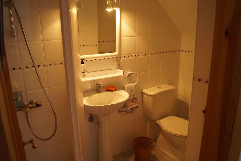 Downstairs bathroom