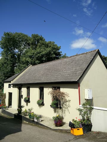 Airbnb Drinagh Vacation Rentals Places To Stay County