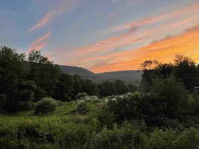 A serene landscape is depicted, featuring lush greenery and gentle hillside contours under a pastel sky. The sunset casts warm hues, creating a calming ambiance, while clusters of wildflowers dot the foreground, enhancing the natural scenery.