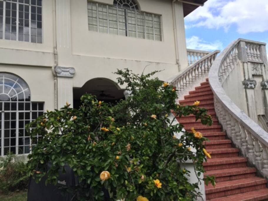 Glamorous, sweeping staircases