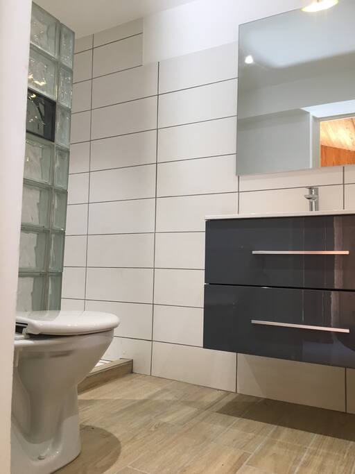 Salle d'eau au goût du jour, douche à l'italienne, meuble casque 2 tiroirs et wc.