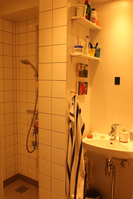 Bathroom, shower