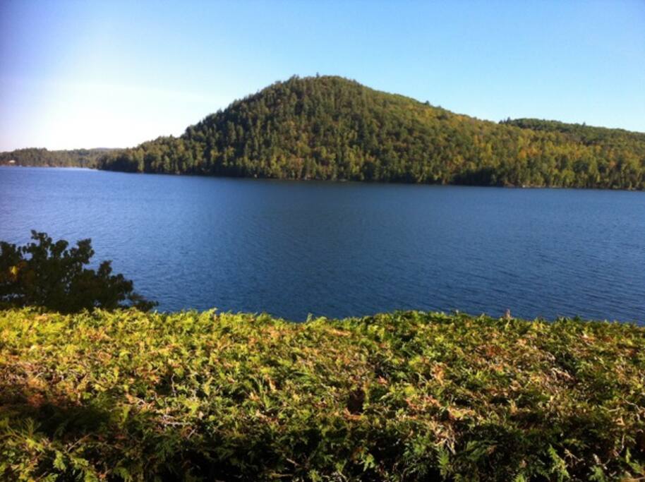 view from deck