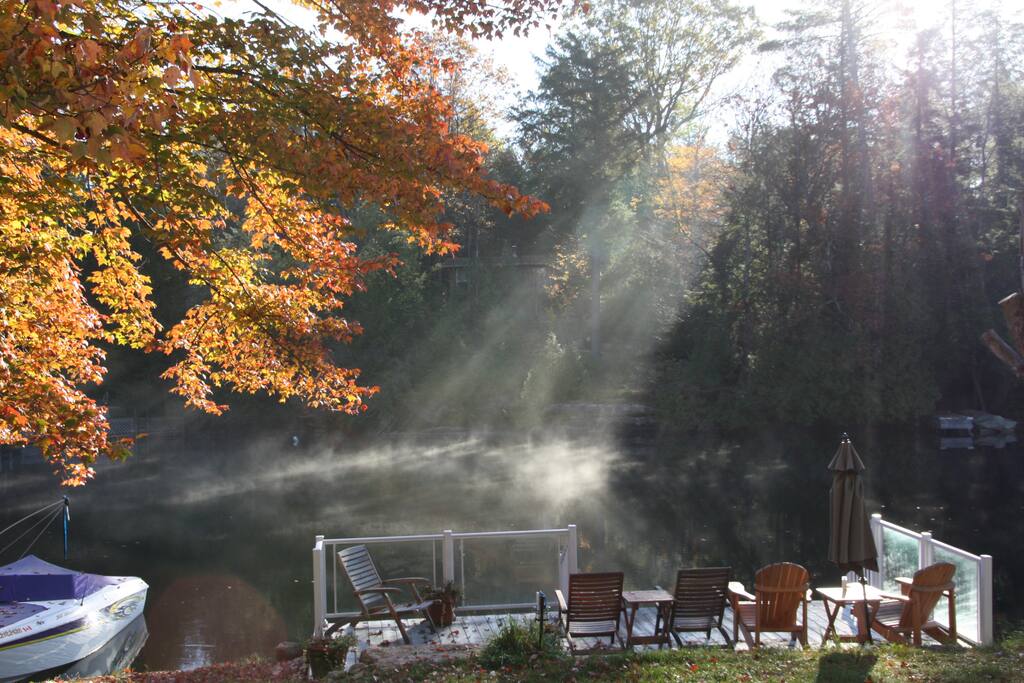 Misty autumn mornings