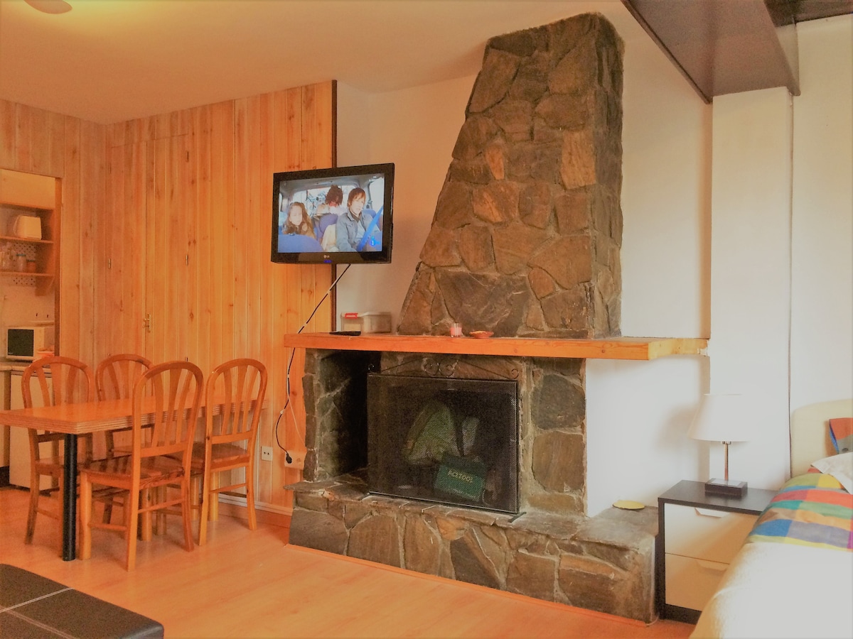 A stone fireplace forms the focal point of the room, with a wooden mantle and a television mounted above it. A dining area with wooden chairs is visible, accompanied by a simple table. Natural wood paneling adorns one wall, contributing to a cozy indoor atmosphere.