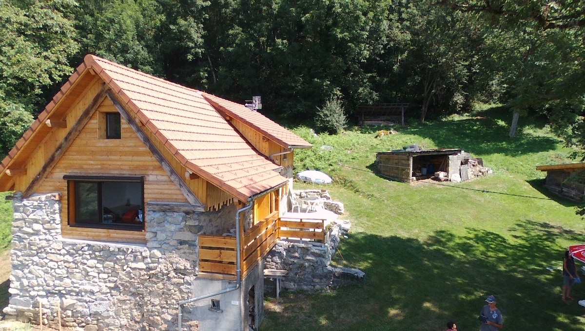 The chalet showcases a blend of wood and stone construction, nestled among lush greenery. A spacious outdoor area is visible, featuring a natural stone grill and ample space for outdoor activities. The sloped roof and large windows enhance the rustic charm of the home.
