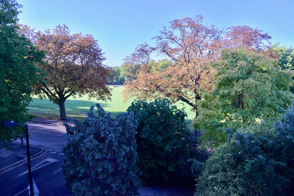 View from master bedroom