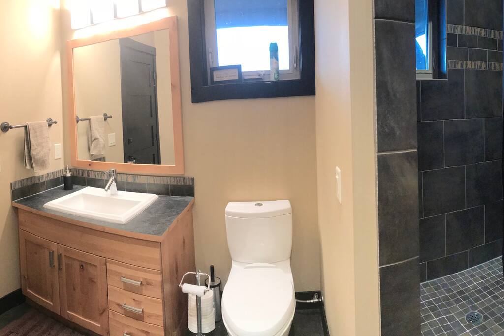 Shared Jack and Jill bathroom