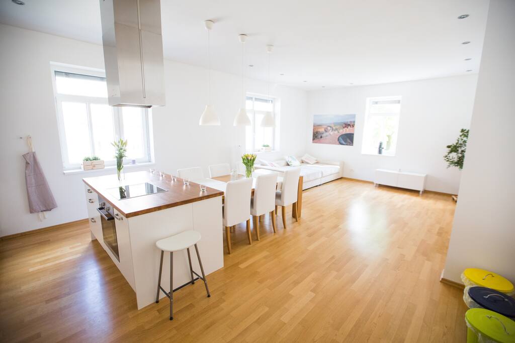 Kitchen and living room area - 45m2