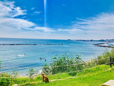 2 bedroom flat close to the beach
