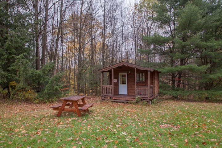 Camping Cabin In Beautiful Forest Setting Cabins For Rent In