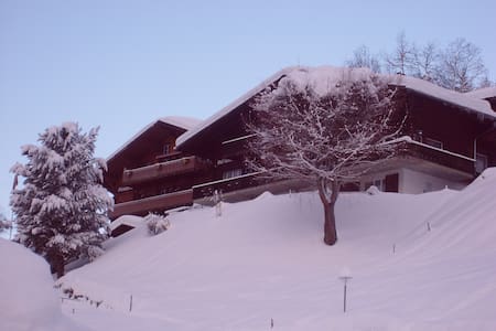 Beautiful apartment in middle of mountain world