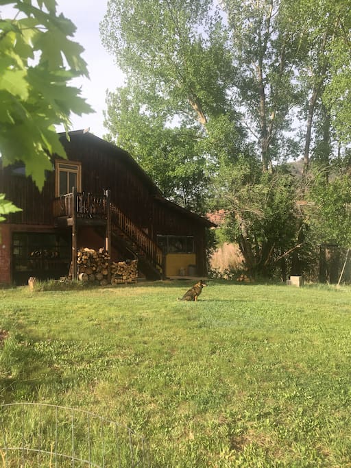 Steps up into the barn