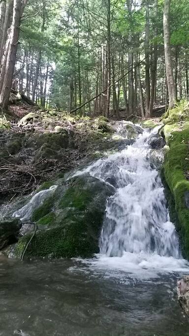 swimming hole on property