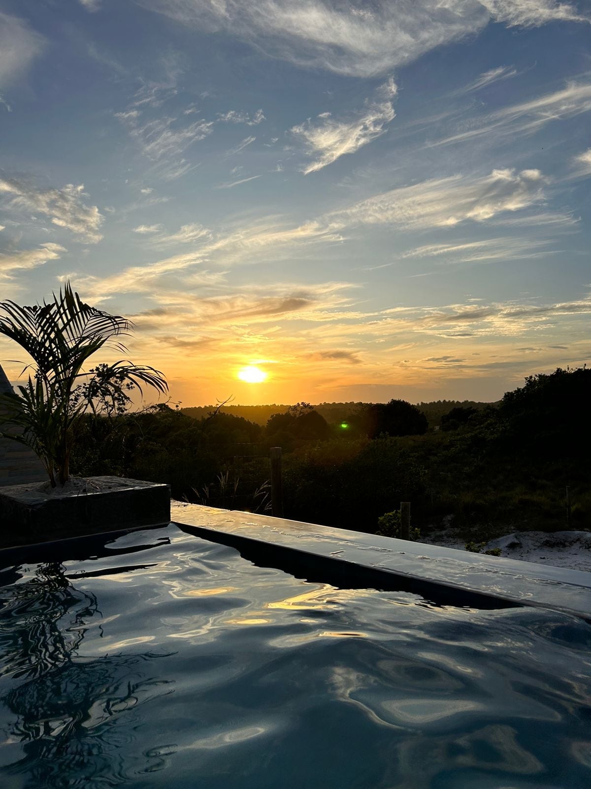 A serene view is captured from the edge of an infinity pool, showcasing a vibrant sunset over lush greenery. The water reflects the warm colors of the sky, while a palm plant adds a touch of nature to the scene.