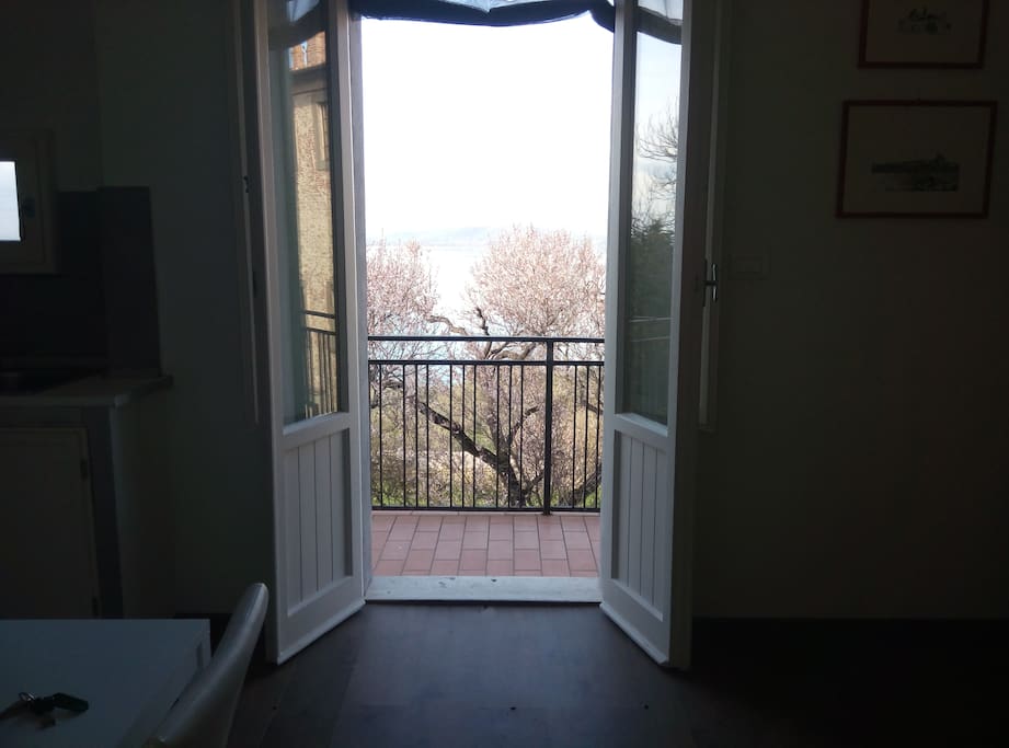 vista lago