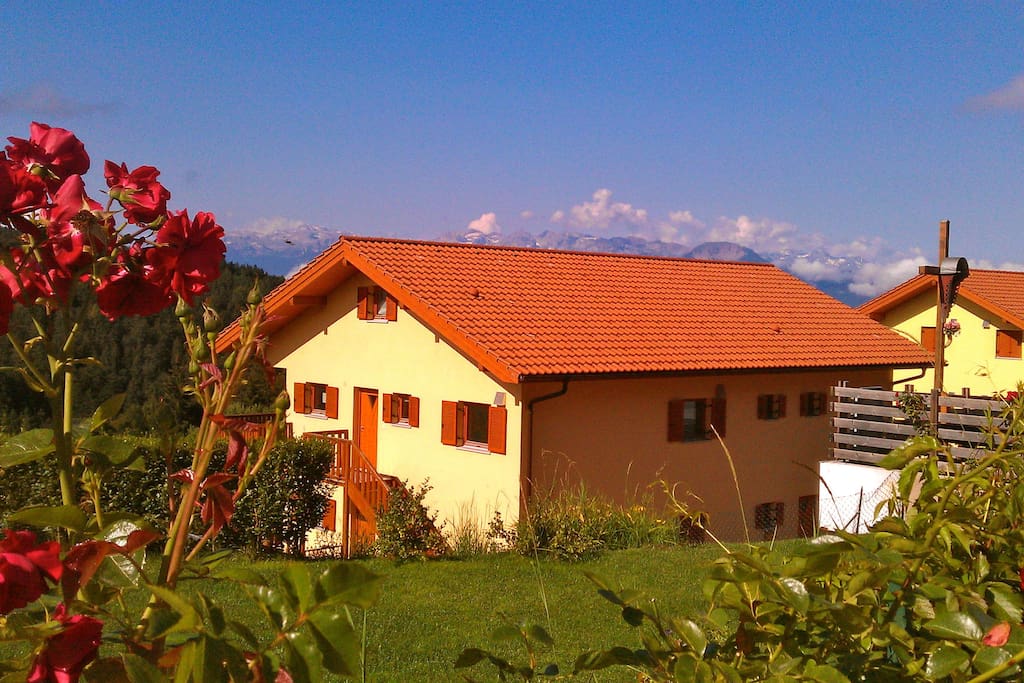 The Building