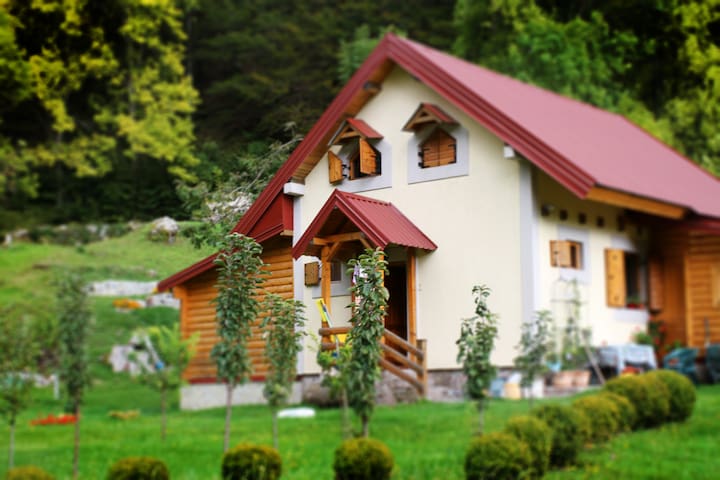 Airbnb Petnjica Holiday Rentals Places To Stay Petnjica