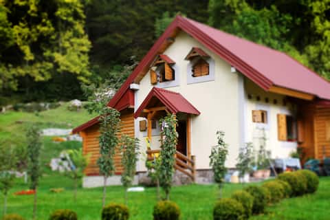 Top performing Airbnb: Holiday Home Milica in Kolašin