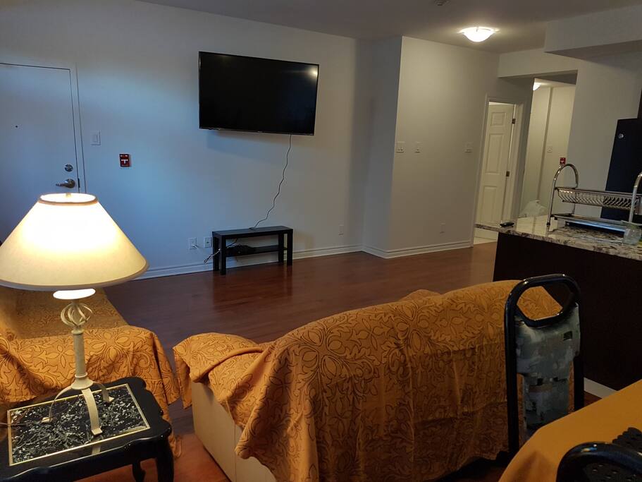 55" Internet-connect TV