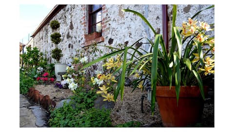 Successful Airbnb property: Heritage Garden Cottage in Battery Point
