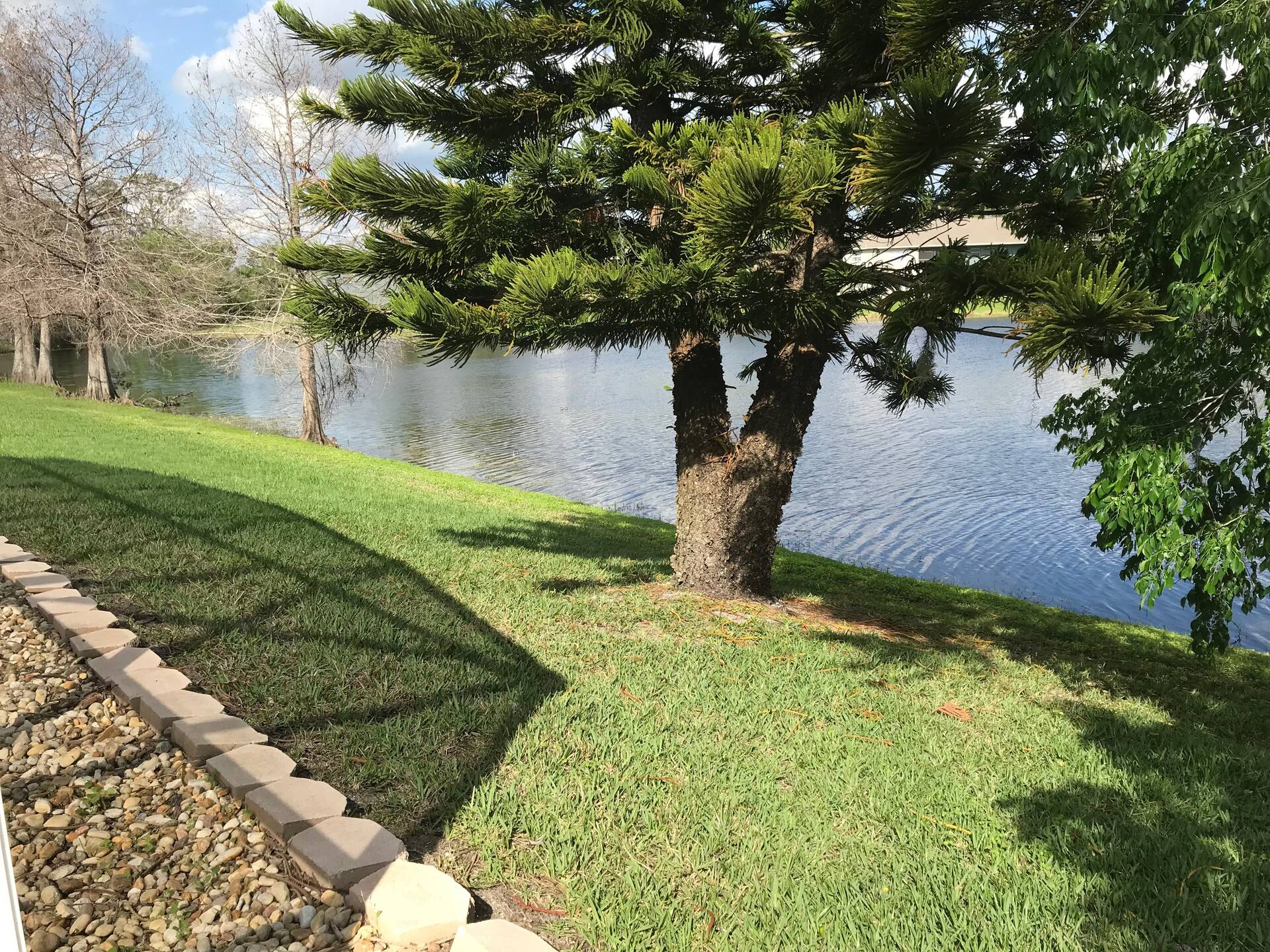 Daytona Beach Area Florida Pool Home — foto 3