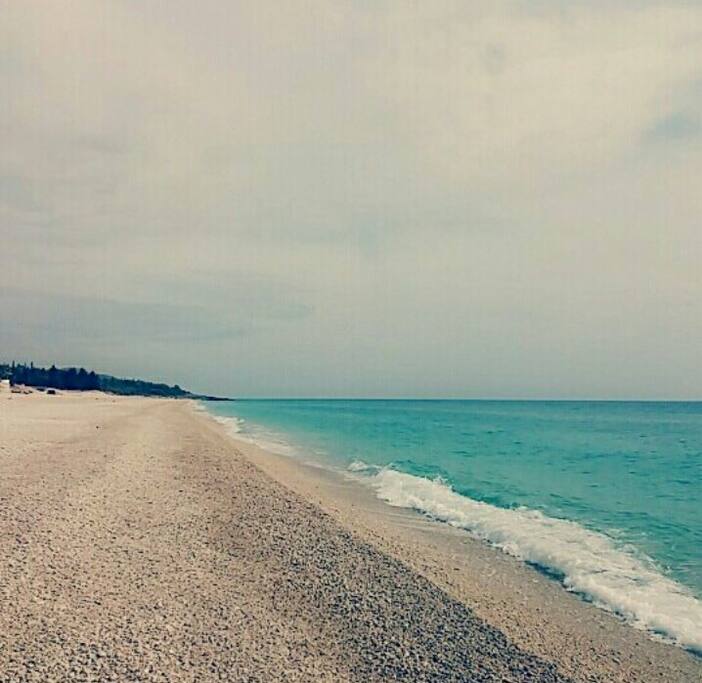 The beach.