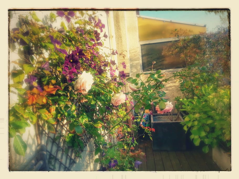 Un jardin suspendu!