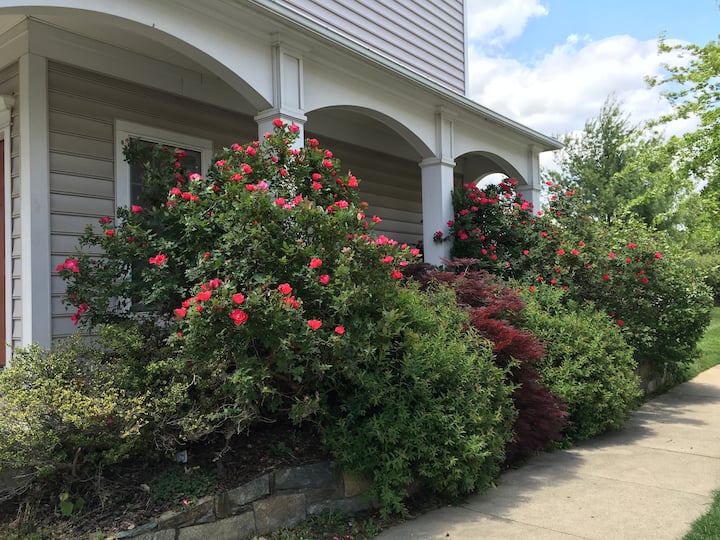 Airbnb Near Gaithersburg Md