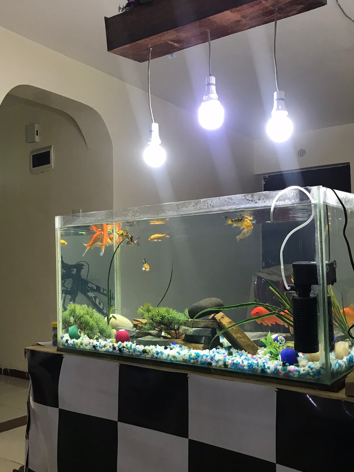 A clear aquarium filled with various fish and aquatic plants is displayed on a checkered table. Above the aquarium, three pendant lights provide illumination, casting a soft glow. The room features neutral-colored walls and a glimpse of furniture in the background.
