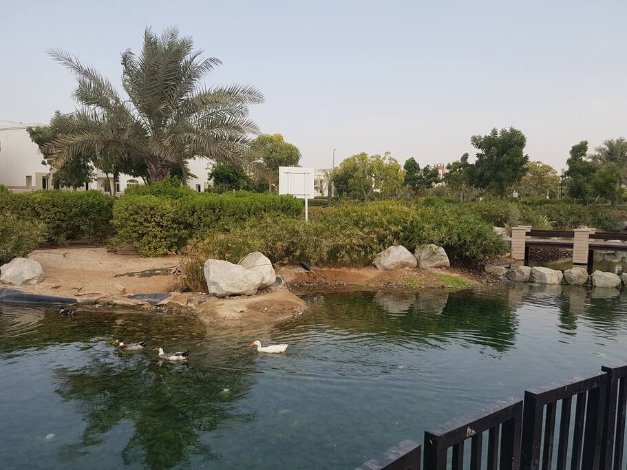 the park