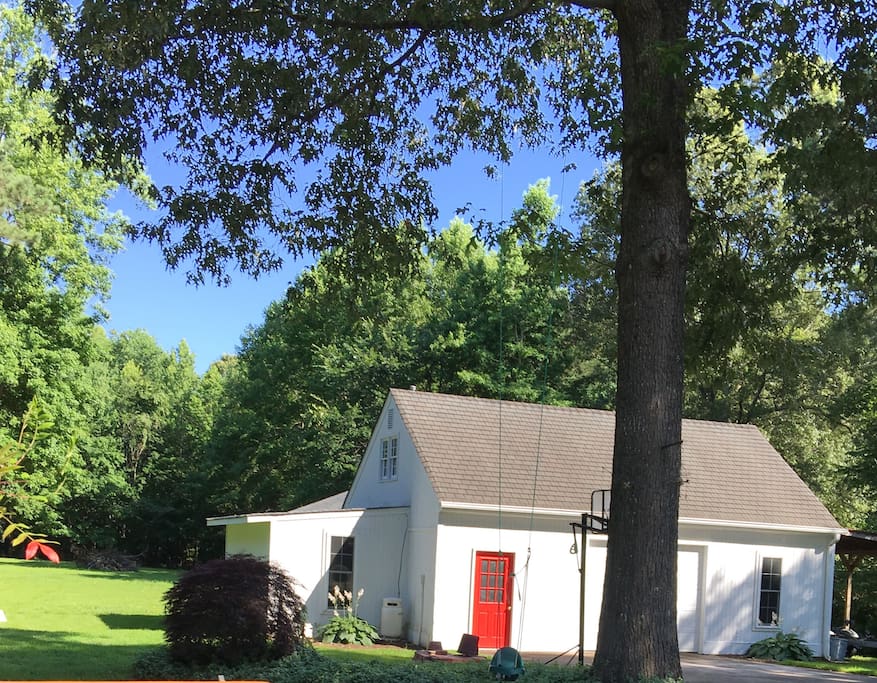 Backyard view of 3 peaceful and beautiful acres