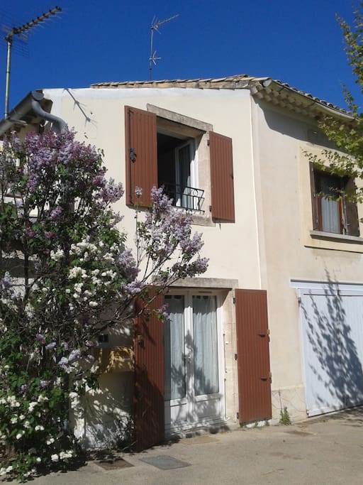 Le lilas pour fêter le printemps