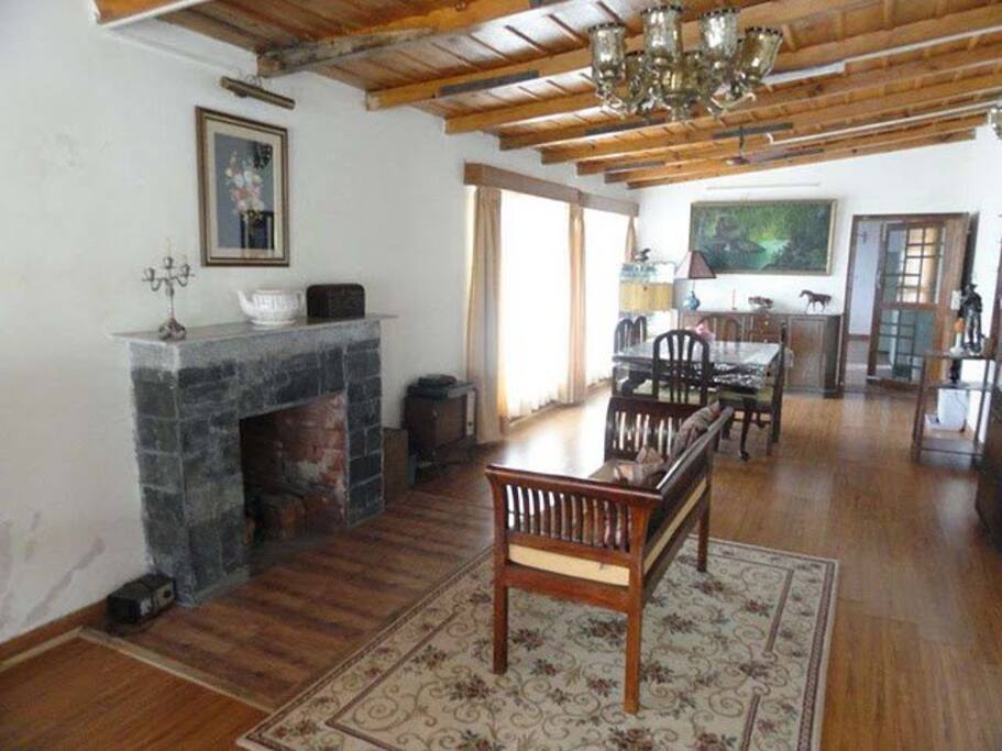 living area with fireplace