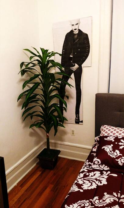 POSTER ON TOP OF BED. BEAUTIFUL PICTURES ON WALL WITH MAN MADE PLANT. SIMPLY BEAUTIFUL.