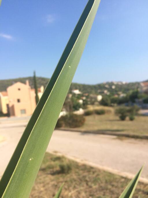 Πάρκο Λεοντιδα