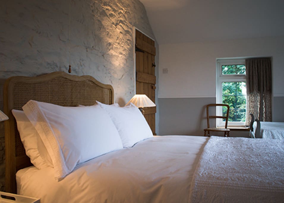 Clywedog double/twin room with en suite bathroom