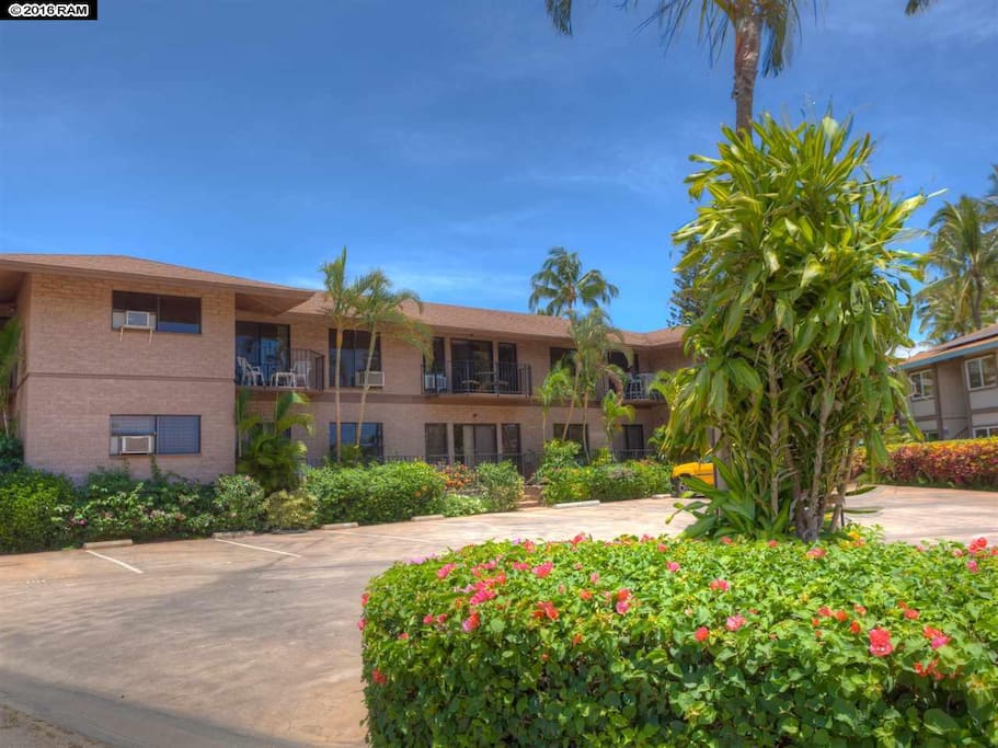Apartments For Rent In Kihei Maui Hi Apartments For Rent In Kihei Maui Hi