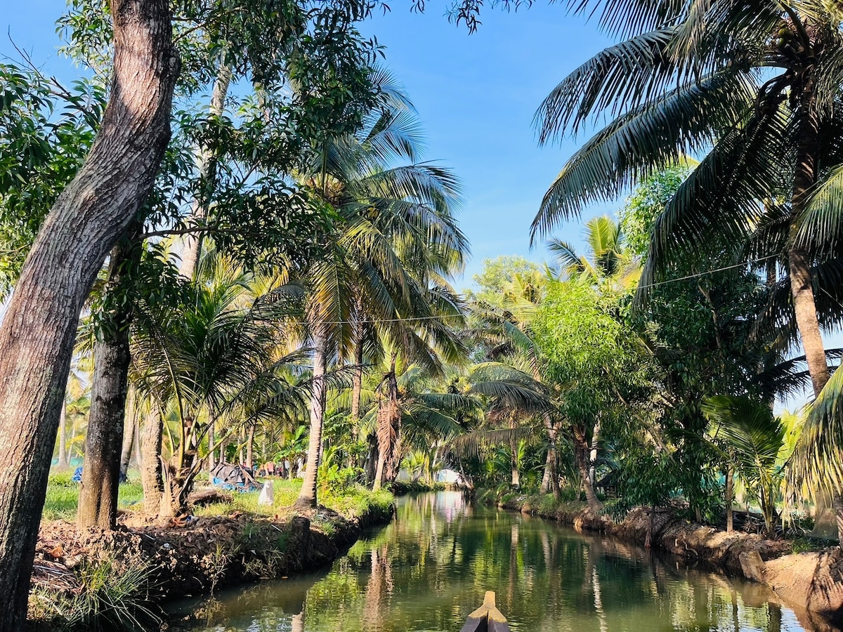 A serene waterway is framed by lush palm trees, creating a tranquil setting. The calm water reflects the greenery, while the clear blue sky enhances the peaceful ambiance. The natural landscape invites exploration and relaxation amidst the vibrant foliage.