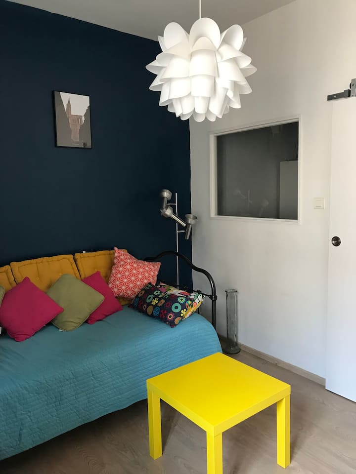 Chaleureux Appartement Quartier Tribunal - Estrasburgo