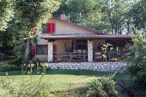 CHALET in the wood