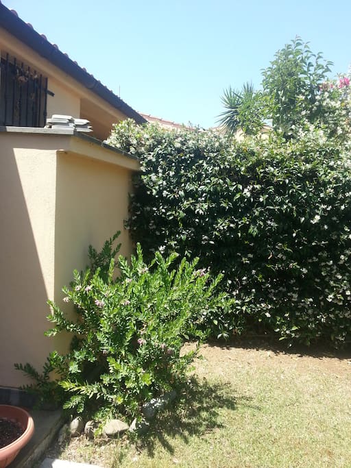 Un angolo del giardino