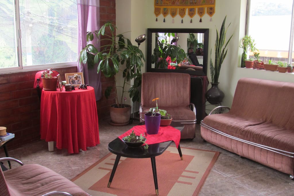 Zona de living compartida