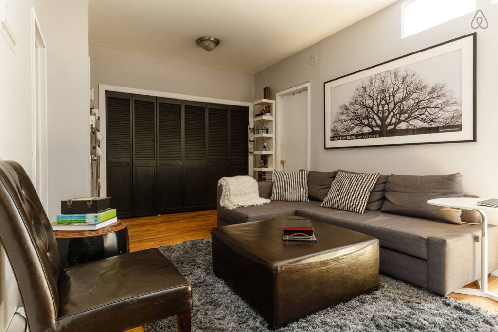 Pull Out Couch
