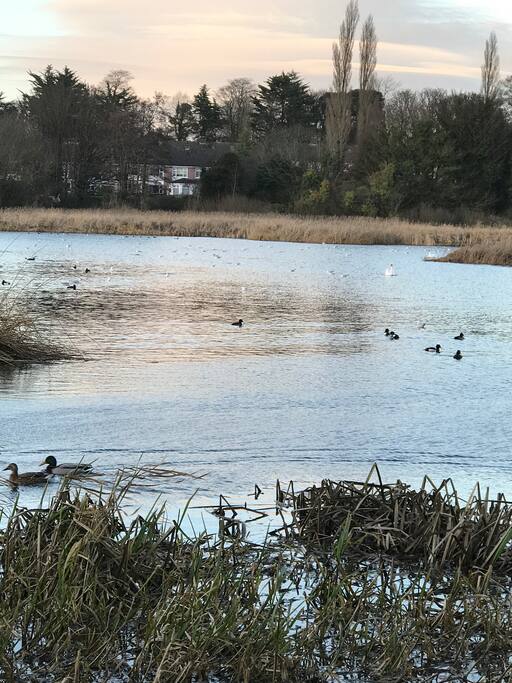 Beautiful walks nearby