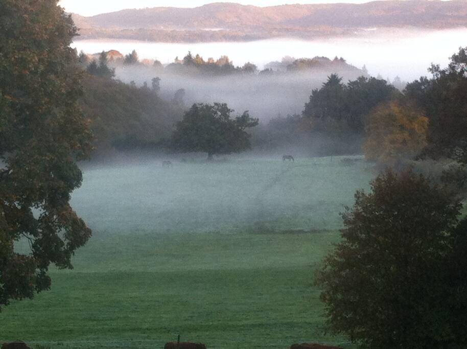 l'echarpe de brume au matin/ the river Taurion slowly awaken by the sunrays