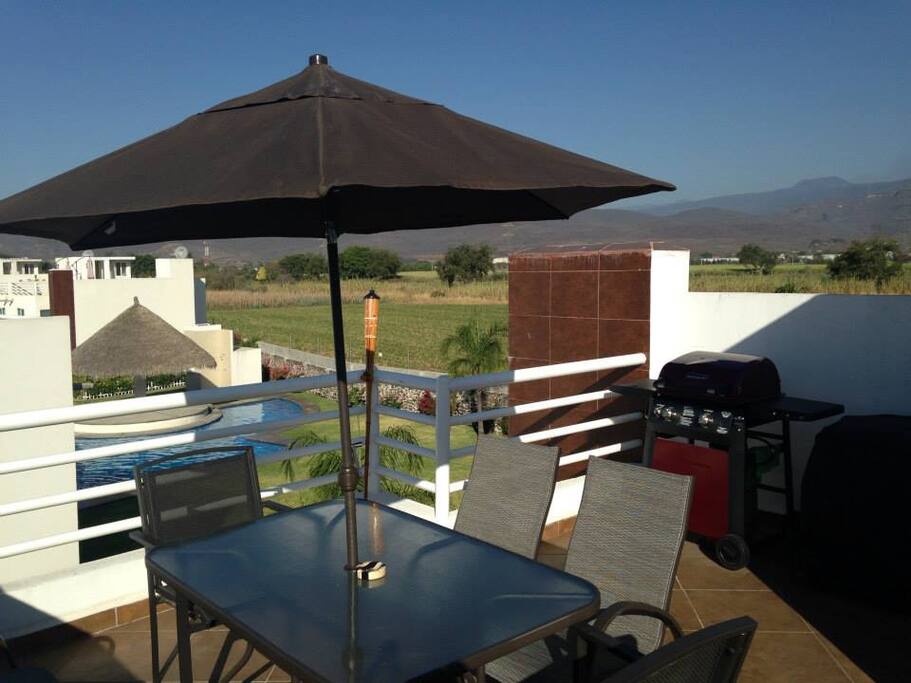 Roof garden