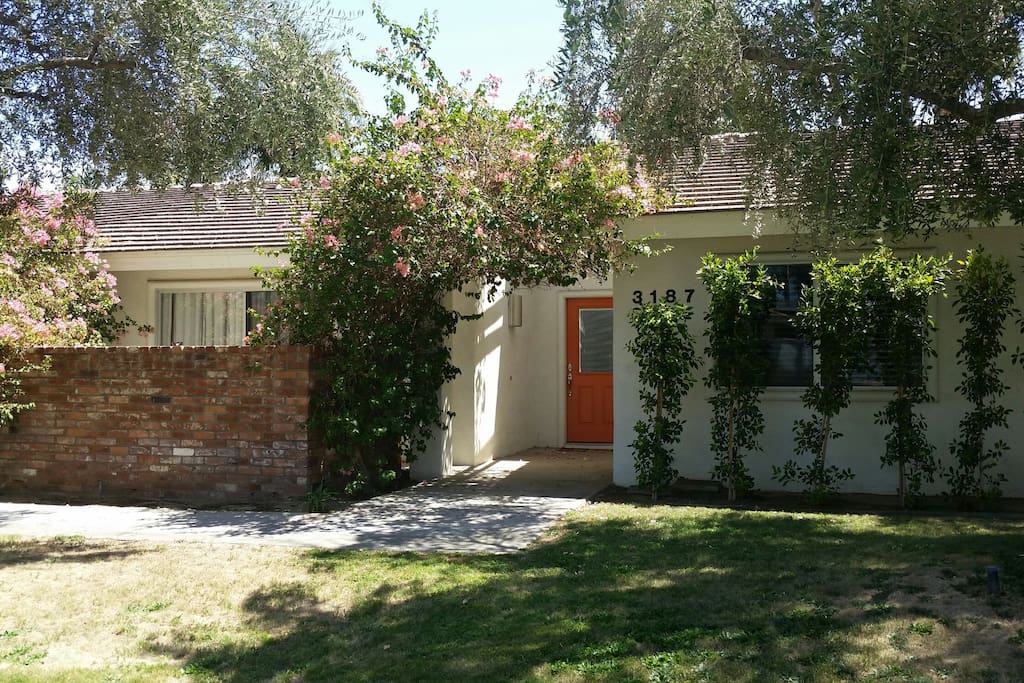 Olive trees by the front door.