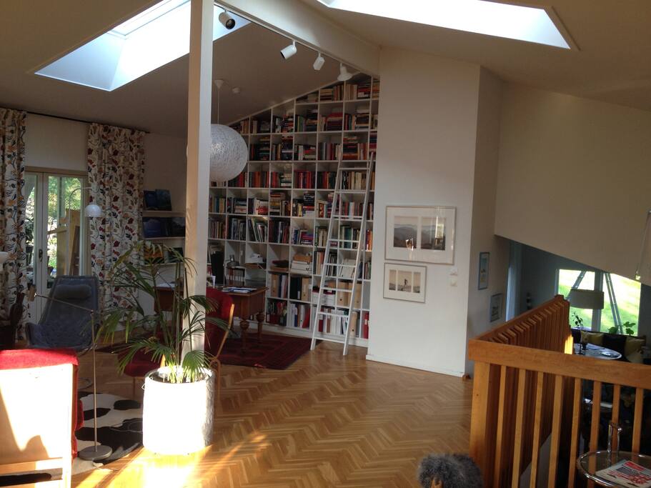 Livingroom - skylights