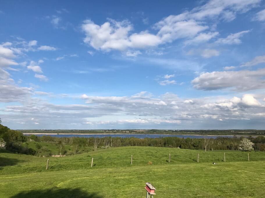 The view from back of the house